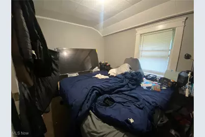 9905 Nelson Avenue, Loveland, OH 44105 - Photo 17