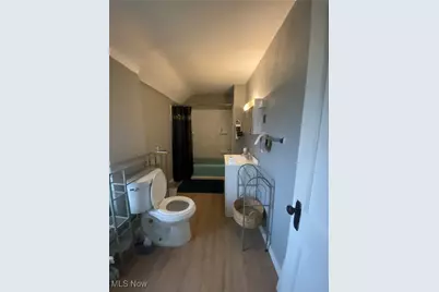 9905 Nelson Avenue, Loveland, OH 44105 - Photo 21