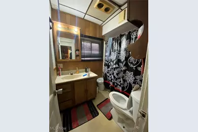 3439 Regent Road, Loveland, OH 44127 - Photo 11