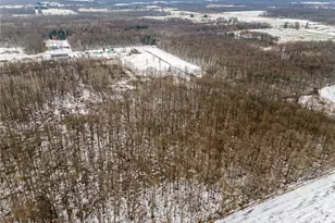 1171 Lewis Rd, Pierpont, OH 44082 - Photo 5