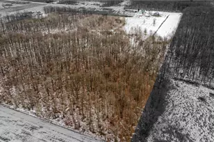 1171 Lewis Rd, Pierpont, OH 44082 - Photo 9