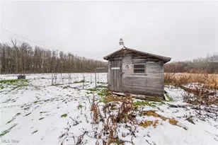 1171 Lewis Rd, Pierpont, OH 44082 - Photo 41