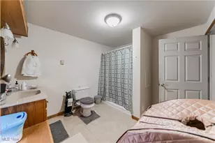 1171 Lewis Rd, Pierpont, OH 44082 - Photo 29