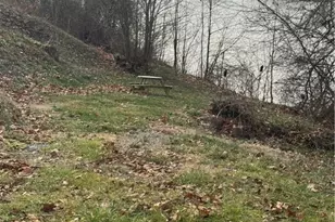 8094 S River Rd, Blue Rock, OH 43720 - Photo 43