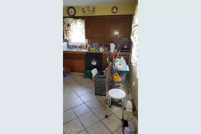 815 E 272nd Street, Euclid, OH 44132 - Photo 33