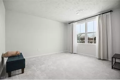 214 Leather Leaf Drive, Elyria, OH 44035 - Photo 23