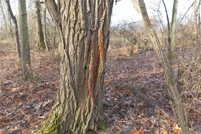 1100 Lantz Avenue, Mansfield, OH 44906 - Photo 21