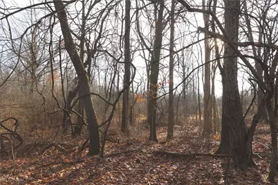 1100 Lantz Avenue, Mansfield, OH 44906 - Photo 13