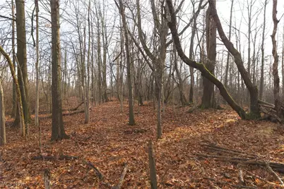 1100 Lantz Avenue, Mansfield, OH 44906 - Photo 23