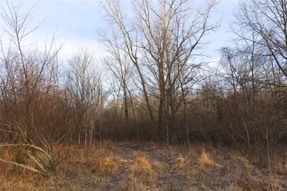 1100 Lantz Avenue, Mansfield, OH 44906 - Photo 15