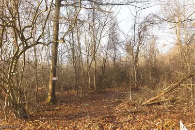 1100 Lantz Avenue, Mansfield, OH 44906 - Photo 25