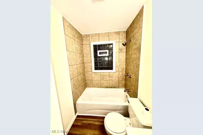 435 Manchester Avenue, Youngstown, OH 44509 - Photo 11