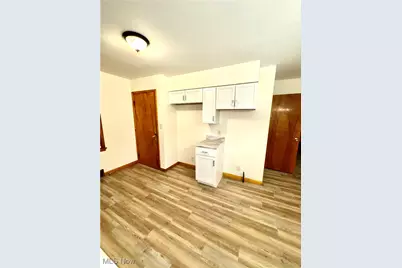 435 Manchester Avenue, Youngstown, OH 44509 - Photo 9