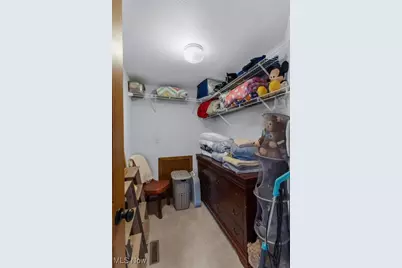 380 Shadydale Drive, Canfield, OH 44406 - Photo 29