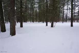 14543 Ensign Rd, Burton, OH 44021 - Photo 31