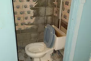 11102 Lardet Ave, Loveland, OH 44104 - Photo 21