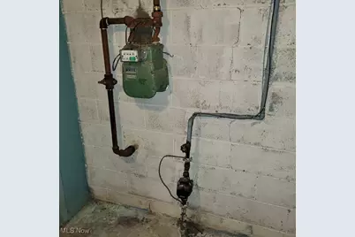 11102 Lardet Avenue, Loveland, OH 44104 - Photo 13