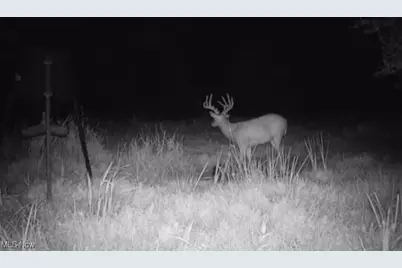 16967 Township Road 63A, Conesville, OH 43811 - Photo 47