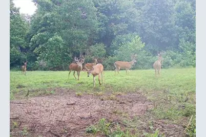 16967 Township Road 63A, Conesville, OH 43811 - Photo 45