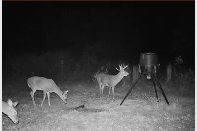 16967 Township Road 63A, Conesville, OH 43811 - Photo 49