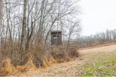 16967 Township Road 63A, Conesville, OH 43811 - Photo 23