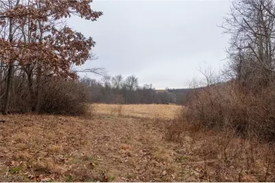 16967 Township Road 63A, Conesville, OH 43811 - Photo 29