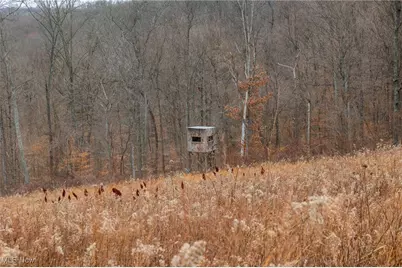 16967 Township Road 63A, Conesville, OH 43811 - Photo 25