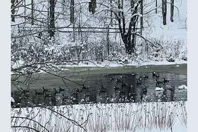 17506 Leggett Road, Montville, OH 44064 - Photo 49