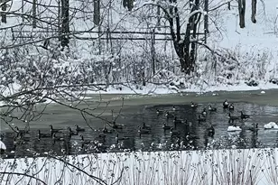 17506 Leggett Rd, Montville, OH 44064 - Photo 49