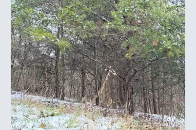 Bailey Road, Elizabeth, WV 26143 - Photo 5