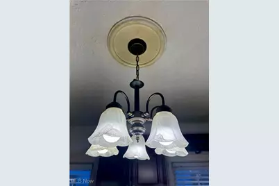 15220 Lucknow Avenue, Loveland, OH 44110 - Photo 21