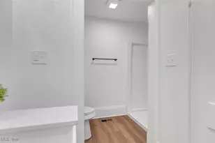 6517 Chippewa Rd, Chippewa Lake, OH 44215 - Photo 35