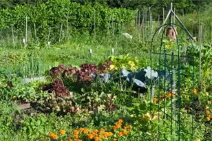 7465 Millrace Ln, Sagamore Hills, OH 44067 - Photo 29