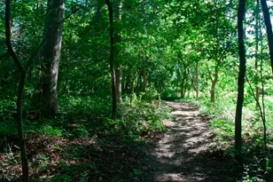 7465 Millrace Ln, Sagamore Hills, OH 44067 - Photo 27