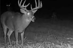 60883 US-36, Newcomerstown, OH 43832 - Photo 25