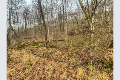 0 State Road 144 Highway, Coolville, OH 45723 - Photo 9