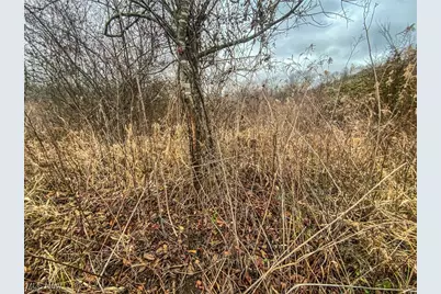 0 Wells Road, Middleport, OH 45760 - Photo 13