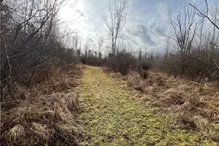 Boston Rd, Hinckley, OH 44233 - Photo 23