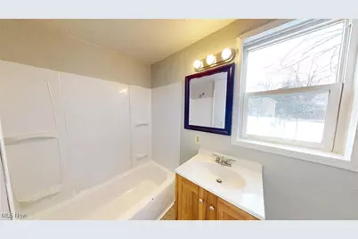 3347 Seymour Avenue, Loveland, OH 44113 - Photo 17