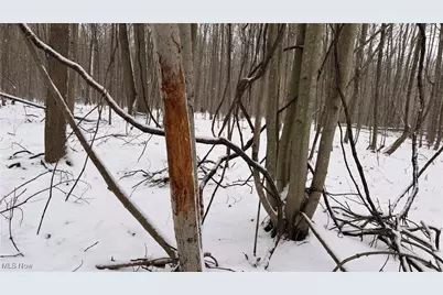 St Rt. 82, Columbia Station, OH 44028 - Photo 21