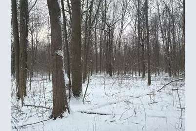 St Rt. 82, Columbia Station, OH 44028 - Photo 25