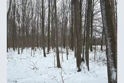 St Rt. 82, Columbia Station, OH 44028 - Photo 27