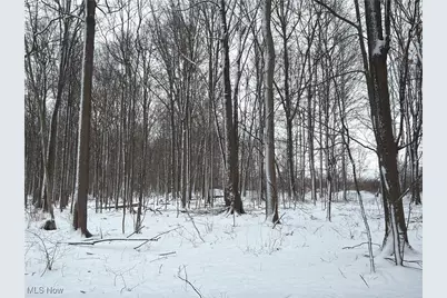 St Rt. 82, Columbia Station, OH 44028 - Photo 45