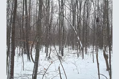 St Rt. 82, Columbia Station, OH 44028 - Photo 29
