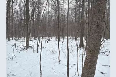 St Rt. 82, Columbia Station, OH 44028 - Photo 31