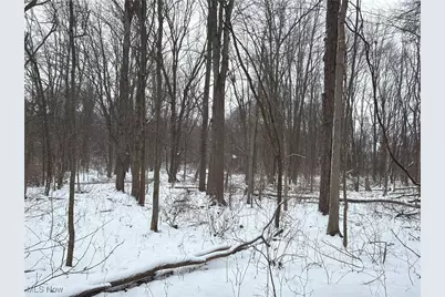 St Rt. 82, Columbia Station, OH 44028 - Photo 23