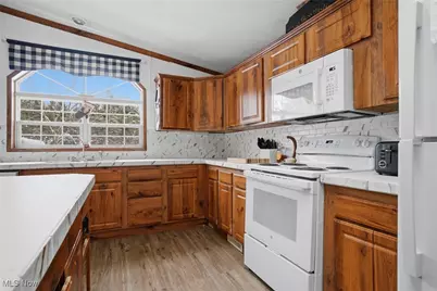 6046 Dawsey Road, Rock Creek, OH 44084 - Photo 29