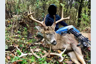 Brown Peavine Road, Alledonia, OH 43902 - Photo 45