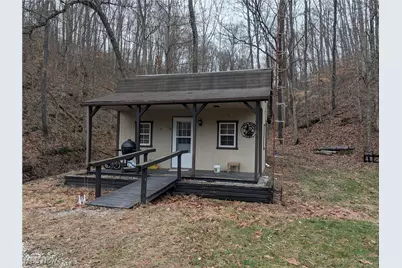 Brown Peavine Road, Alledonia, OH 43902 - Photo 1