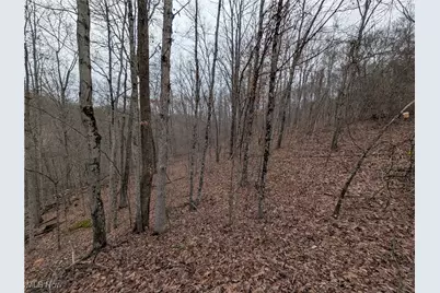 Brown Peavine Road, Alledonia, OH 43902 - Photo 19